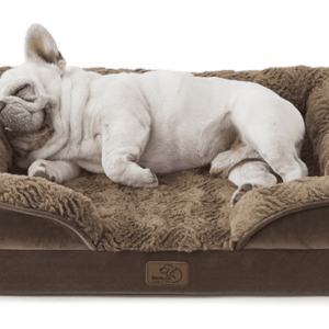Luxury Couch