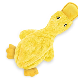 Duck Toy